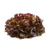 RENAI RZ product photo front S