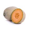 PALOVERDE RZ F1 product photo front S
