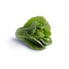 COVERUS RZ (41-CO7367) Knox™ product photo view-4 S