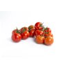 PONTAL RZ F1 product photo view-3 S