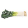RADIATUS RZ F1 product photo view-2 S