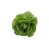 DILAGO RZ product photo front S