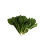长空2236(51-2236)Chanko2236 product photo front S