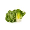RAWONDER RZ (41-CO7661) product photo view-2 S
