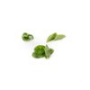PARAKEET RZ F1 (51-715) product photo view-2 S