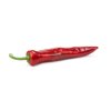 PALERMO F1 product photo view-3 S
