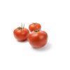 DESPINA RZ F1 product photo view-2 S