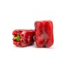 TIMONERO RZ F1 (35-LR1897) product photo view-2 S